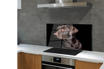 Painel de vidro Cachorro marrom