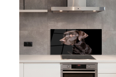 Painel de vidro Cachorro marrom