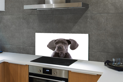 Painel de vidro Cachorro marrom