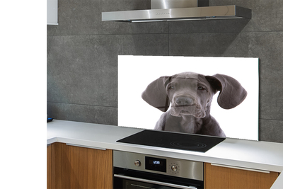 Painel de vidro Cachorro marrom