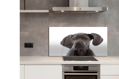 Painel de vidro Cachorro marrom