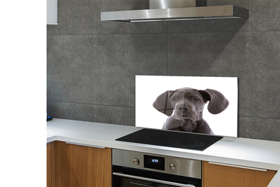 Painel de vidro Cachorro marrom