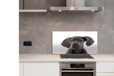 Painel de vidro Cachorro marrom