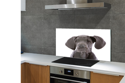 Painel de vidro Cachorro marrom