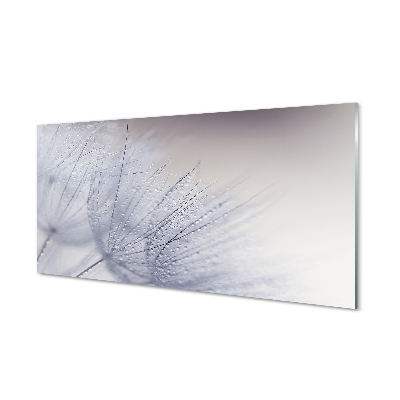 Painel de vidro Gotas de orvalho dente-de-leão