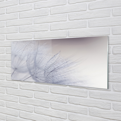 Painel de vidro Gotas de orvalho dente-de-leão