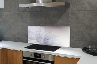 Painel de vidro Gotas de orvalho dente-de-leão