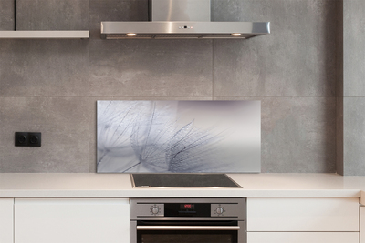 Painel de vidro Gotas de orvalho dente-de-leão