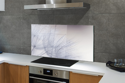 Painel de vidro Gotas de orvalho dente-de-leão