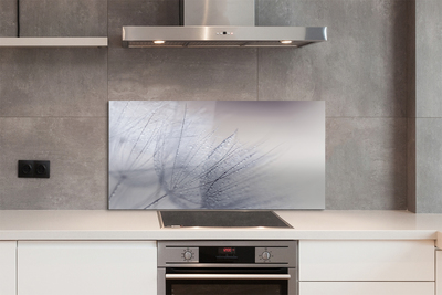 Painel de vidro Gotas de orvalho dente-de-leão