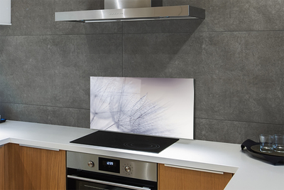 Painel de vidro Gotas de orvalho dente-de-leão