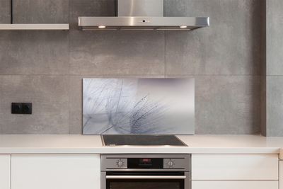 Painel de vidro Gotas de orvalho dente-de-leão