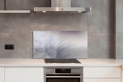 Painel de vidro Gotas de orvalho dente-de-leão