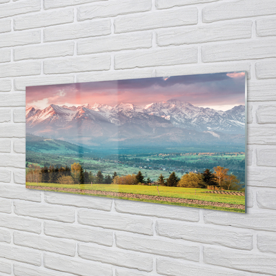 Painel de vidro Montanhas do campo