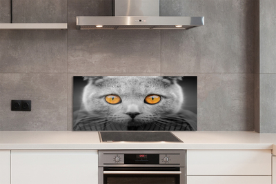 Painel de vidro Gato britânico cinza
