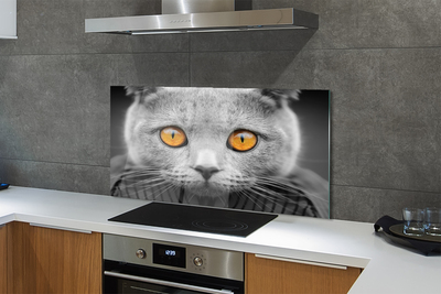 Painel de vidro Gato britânico cinza