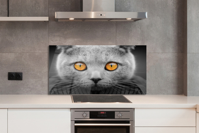 Painel de vidro Gato britânico cinza