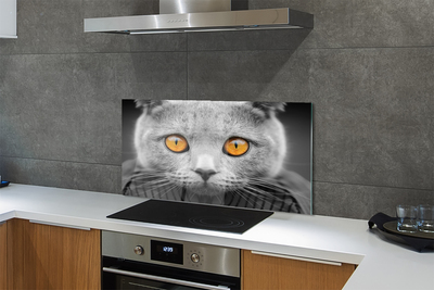 Painel de vidro Gato britânico cinza