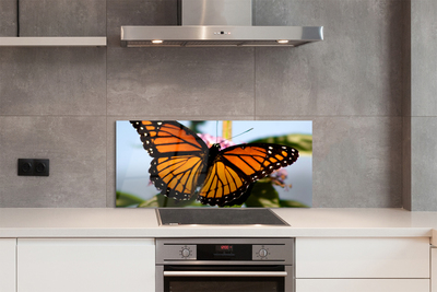 Painel de vidro Borboleta colorida