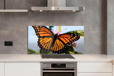 Painel de vidro Borboleta colorida