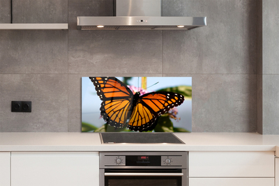 Painel de vidro Borboleta colorida