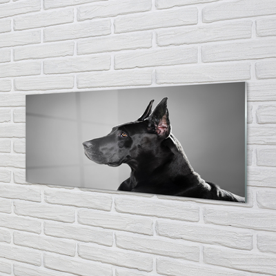 Painel de vidro Cachorro preto
