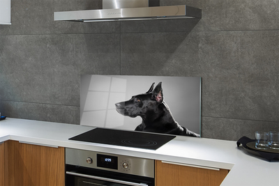 Painel de vidro Cachorro preto