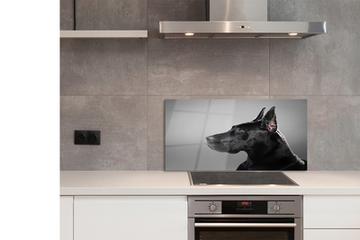 Painel de vidro Cachorro preto