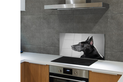 Painel de vidro Cachorro preto