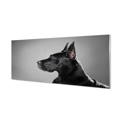 Painel de vidro Cachorro preto