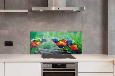 Painel de vidro Árvore papagaio colorida