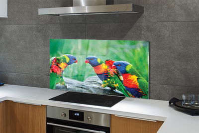 Painel de vidro Árvore papagaio colorida