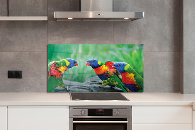 Painel de vidro Árvore papagaio colorida