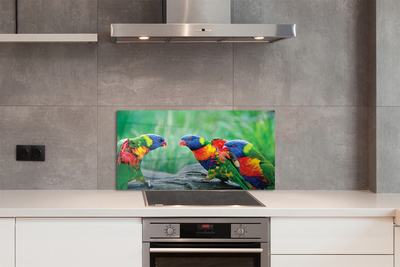 Painel de vidro Árvore papagaio colorida