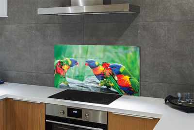 Painel de vidro Árvore papagaio colorida