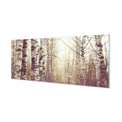 Painel de vidro Árvores