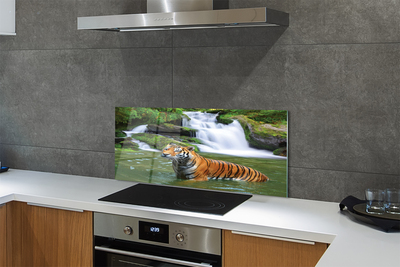 Painel de vidro Cachoeira do Tigre