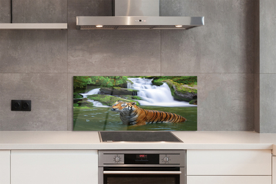 Painel de vidro Cachoeira do Tigre