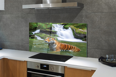 Painel de vidro Cachoeira do Tigre