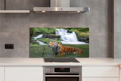 Painel de vidro Cachoeira do Tigre