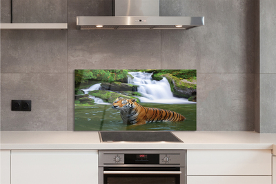Painel de vidro Cachoeira do Tigre