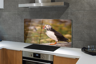 Painel de vidro Papagaio