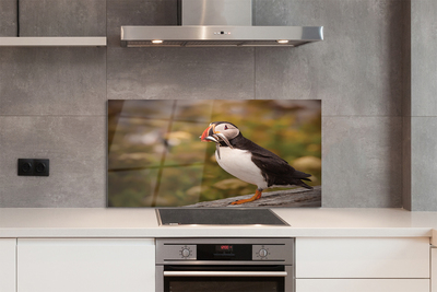 Painel de vidro Papagaio