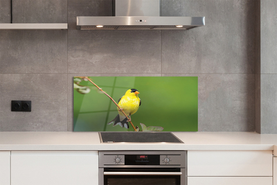 Painel de vidro Papagaio amarelo