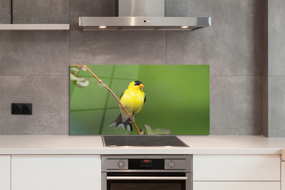 Painel de vidro Papagaio amarelo