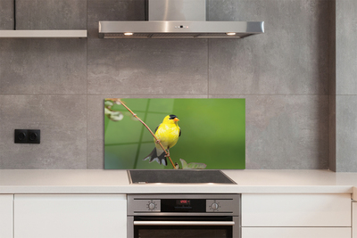 Painel de vidro Papagaio amarelo