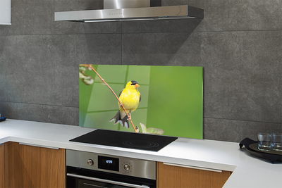 Painel de vidro Papagaio amarelo