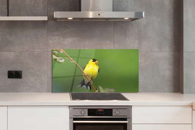 Painel de vidro Papagaio amarelo