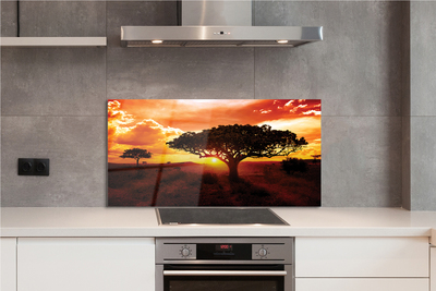 Painel de vidro Árvores nuvens pôr do sol