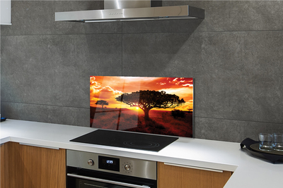 Painel de vidro Árvores nuvens pôr do sol